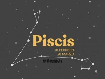 Producto: Ideas de regalo originales para una persona Piscis - Marronynegro