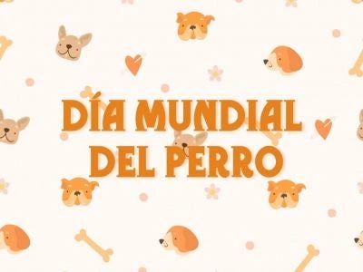 Producto: Día del Perro - Marronynegro