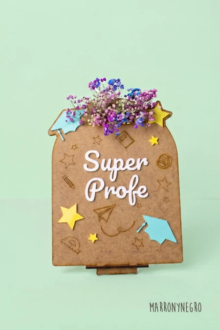 Recuerdo Clase Profe con superpoderes con Flores