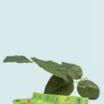 Miniatura producto
