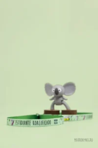 Producto: Pack Especial Alumnos: 20 pulseras Estudiante Koalificado - Marronynegro
